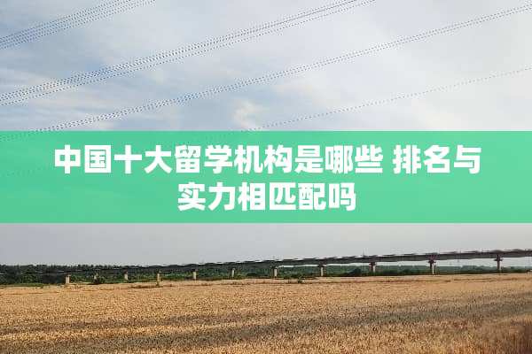 中国十大留学机构是哪些 排名与实力相匹配吗