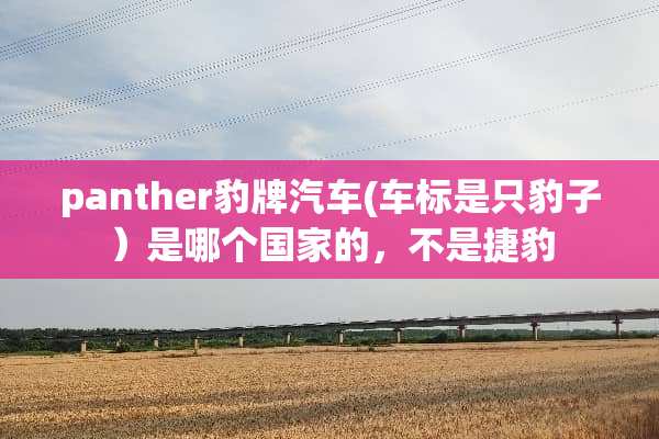 panther豹牌汽车(车标是只豹子）是哪个国家的，不是捷豹