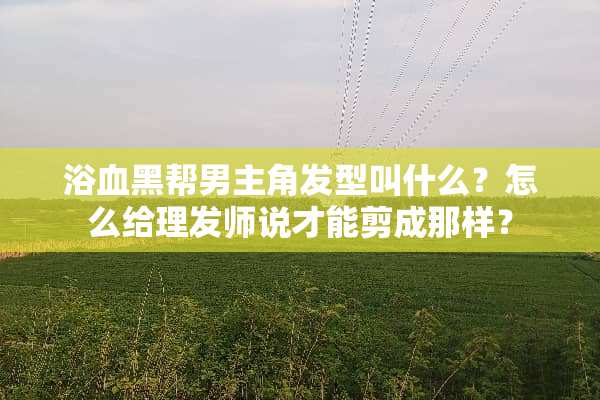 浴血黑帮男主角发型叫什么？怎么给理发师说才能剪成那样？