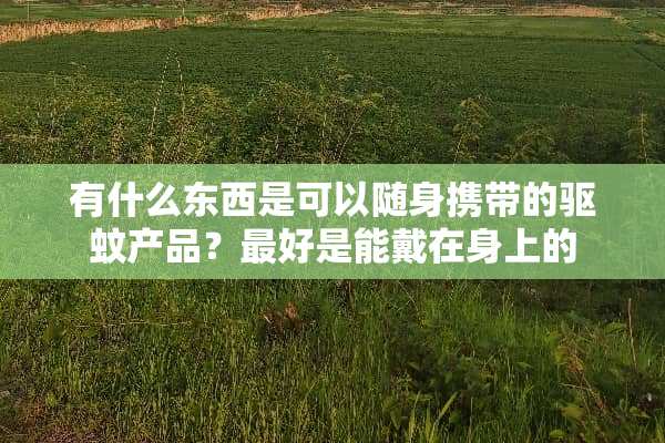 有什么东西是可以随身携带的驱蚊产品？最好是能戴在身上的