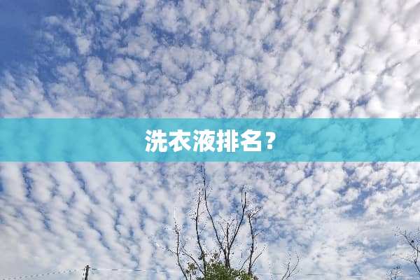 洗衣液排名？