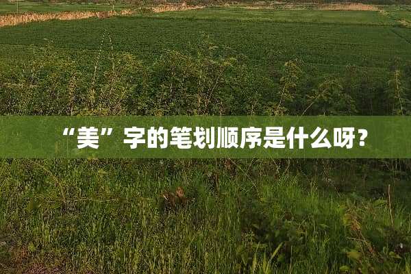 “美”字的笔划顺序是什么呀？