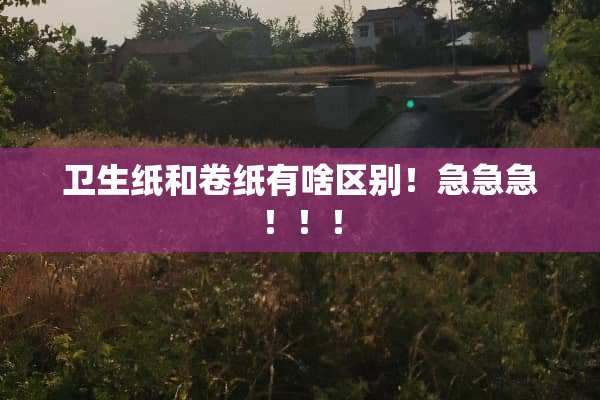 卫生纸和卷纸有啥区别！急急急！！！