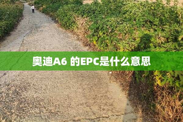 奥迪A6 的EPC是什么意思