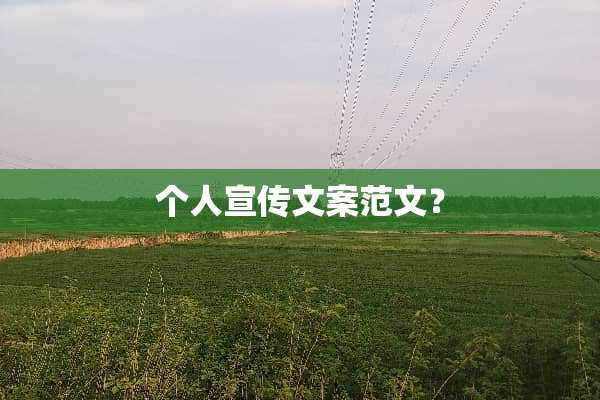 个人宣传文案范文？