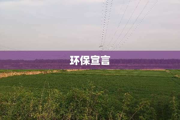 环保宣言