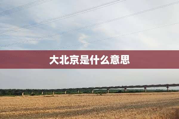 大北京是什么意思