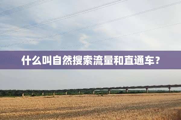 什么叫自然搜索流量和直通车？