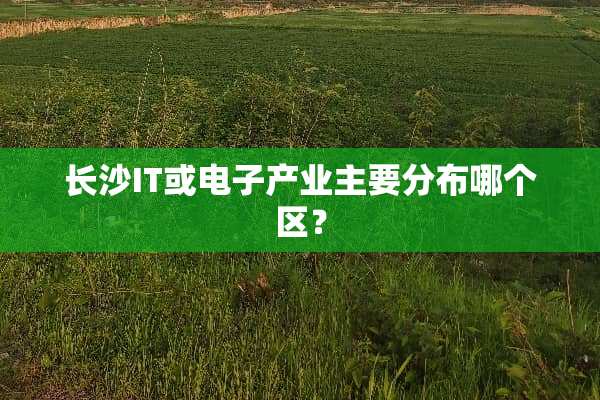 长沙IT或电子产业主要分布哪个区？