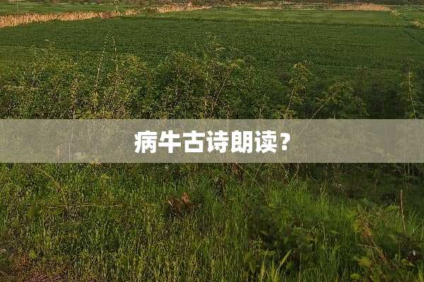 病牛古诗朗读？