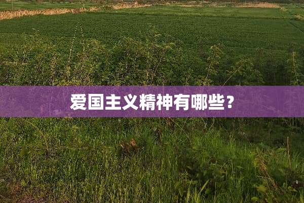 爱国**精神有哪些？