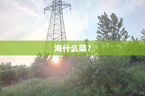 海什么菜？