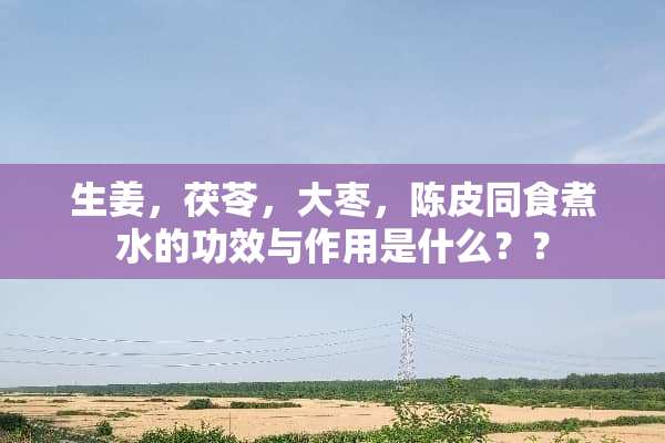 生姜，茯苓，大枣，陈皮同食煮水的功效与作用是什么？？