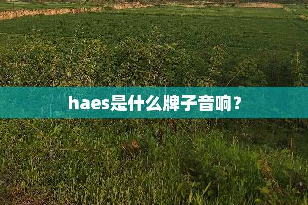haes是什么牌子音响？
