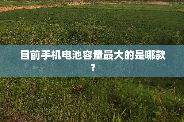 目前手机电池容量最大的是哪款？
