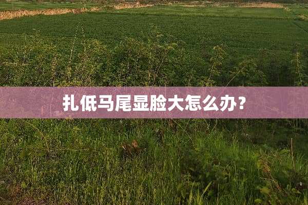 扎低马尾显脸大怎么办？