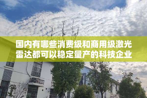 国内有哪些消费级和商用级激光雷达都可以稳定量产的科技企业？EAI可以吗？