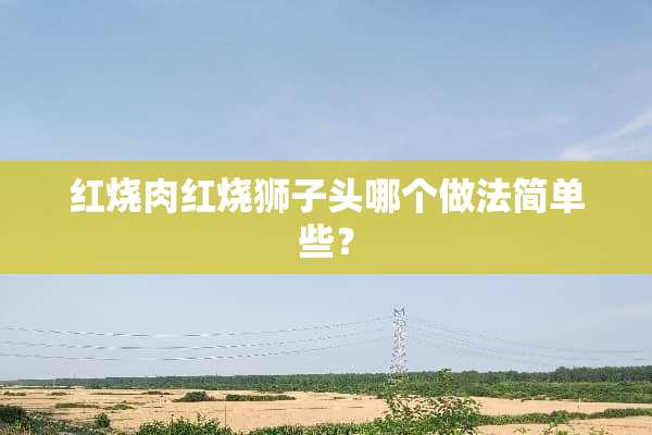 红烧肉红烧狮子头哪个做法简单些？