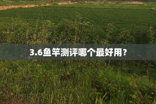 3.6鱼竿测评哪个最好用？