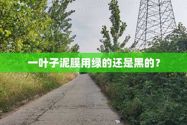 一叶子泥膜用绿的还是黑的？