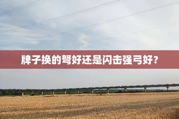 牌子换的弩好还是闪击强弓好？