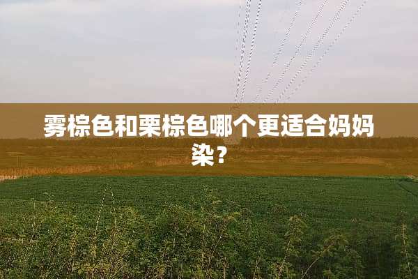 雾棕色和栗棕色哪个更适合妈妈染？