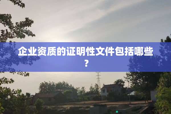 企业资质的证明性文件包括哪些？