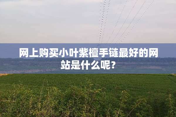 网上购买小叶紫檀手链最好的网站是什么呢？