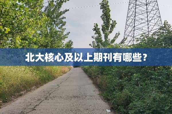 北大核心及以上期刊有哪些？