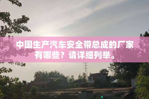 中国生产汽车安全带总成的厂家有哪些？请详细列举。
