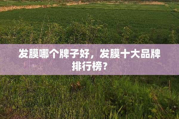 发膜哪个牌子好，发膜十大品牌排行榜？