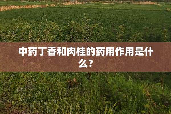 中药**和肉桂的药用作用是什么？