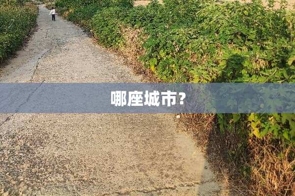 哪座城市？