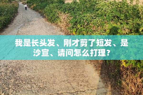 我是长头发、刚才剪了短发、是沙宣、请问怎么打理？