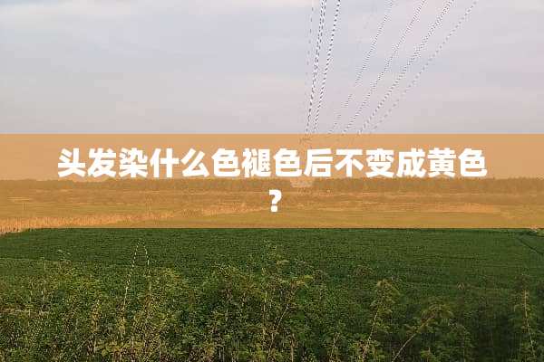 头发染什么色褪色后不变成黄色？