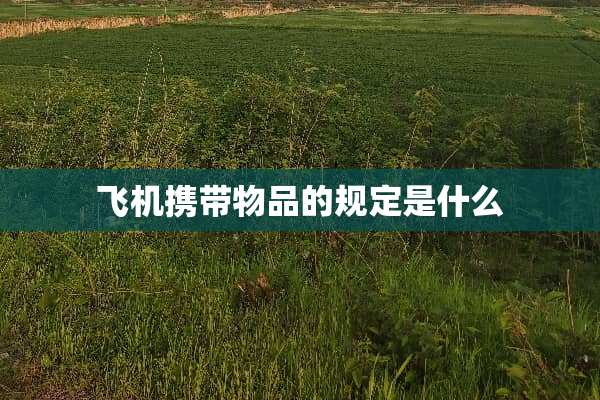 飞机携带物品的规定是什么