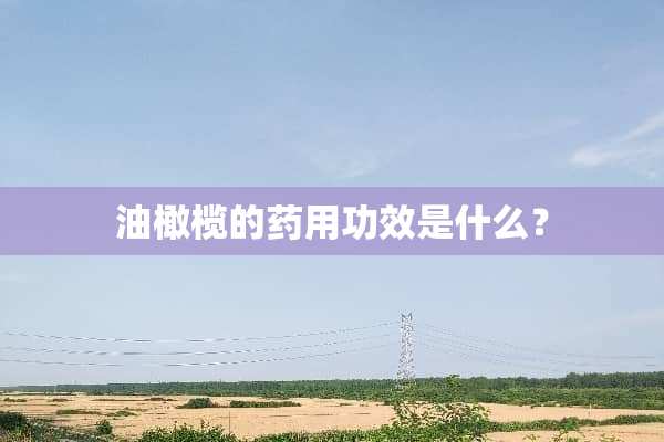 油橄榄的药用功效是什么？