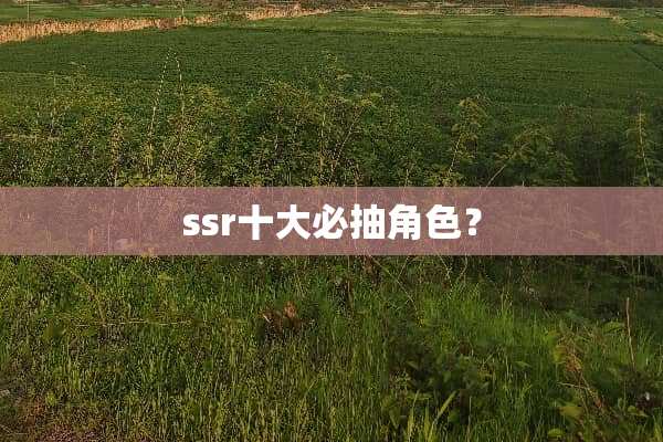 ssr十大必抽角色？