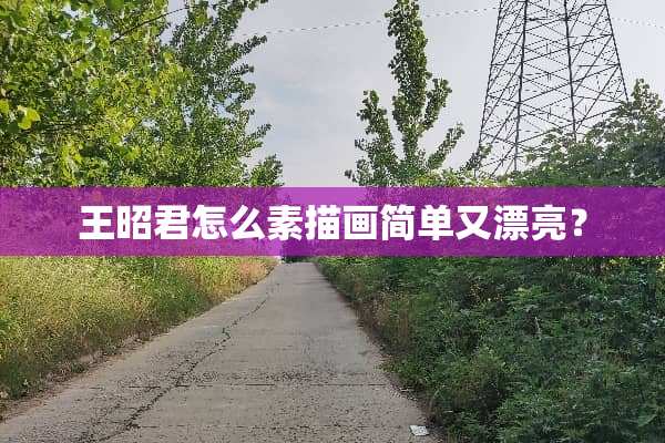 王昭君怎么素描画简单又漂亮？
