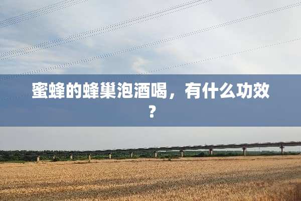 蜜蜂的蜂巢泡酒喝，有什么功效？