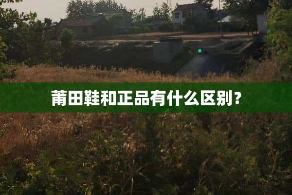 莆田鞋和正品有什么区别？