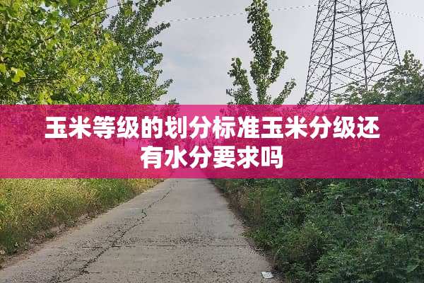玉米等级的划分标准玉米分级还有水分要求吗