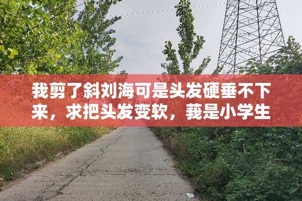 我剪了斜刘海可是头发硬垂不下来，求把头发变软，莪是小学生，不可以软化？