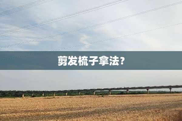 剪发梳子拿法？