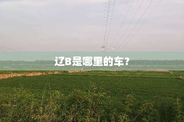 辽B是哪里的车？