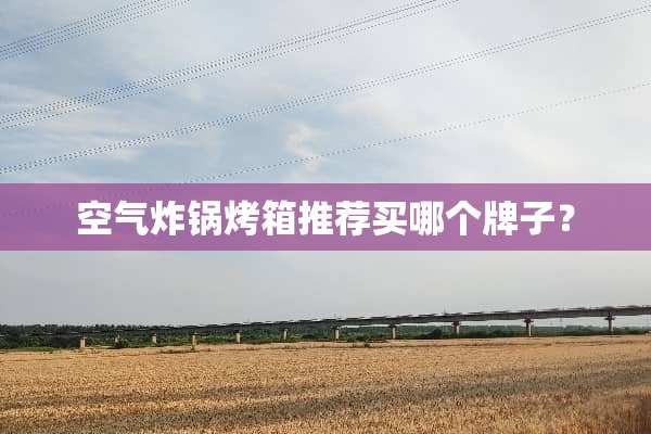 空气炸锅烤箱推荐买哪个牌子？