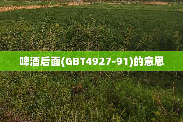 啤酒后面(GBT4927-91)的意思