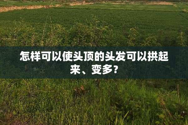 怎样可以使头顶的头发可以拱起来、变多？