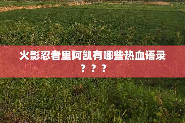 火影忍者里阿凯有哪些热血语录？？？