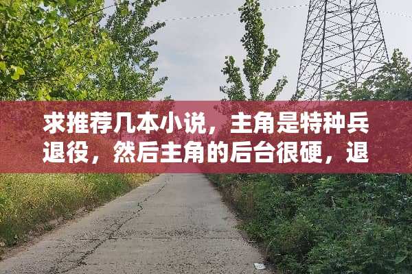 求推荐几本小说，主角是特种兵退役，然后主角的后台很硬，退役后回到都市？